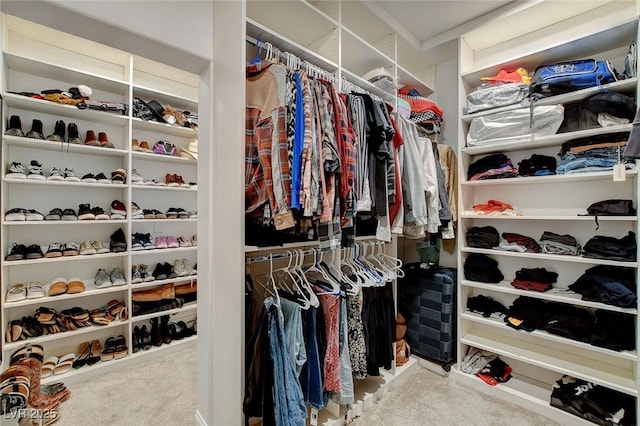 spacious closet featuring carpet floors