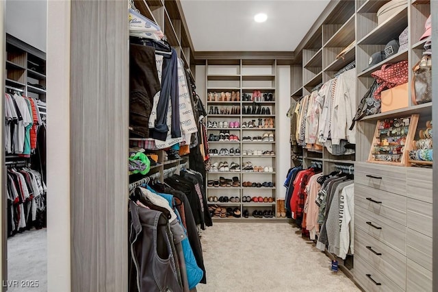 spacious closet featuring light carpet