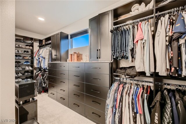 spacious closet with carpet