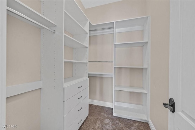 walk in closet featuring dark carpet