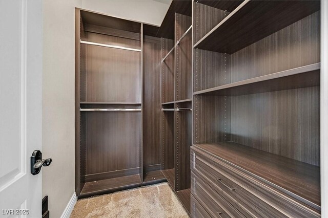 walk in closet with carpet