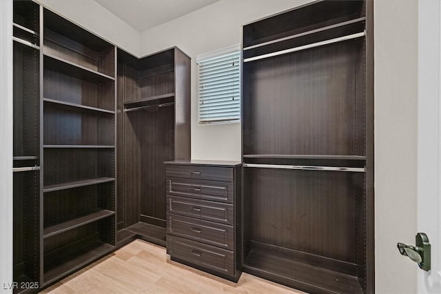 walk in closet featuring wood finished floors