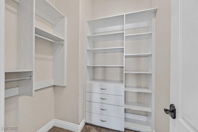 walk in closet featuring dark colored carpet