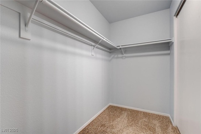 spacious closet with carpet