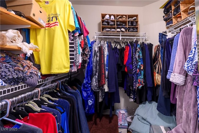 walk in closet featuring carpet floors