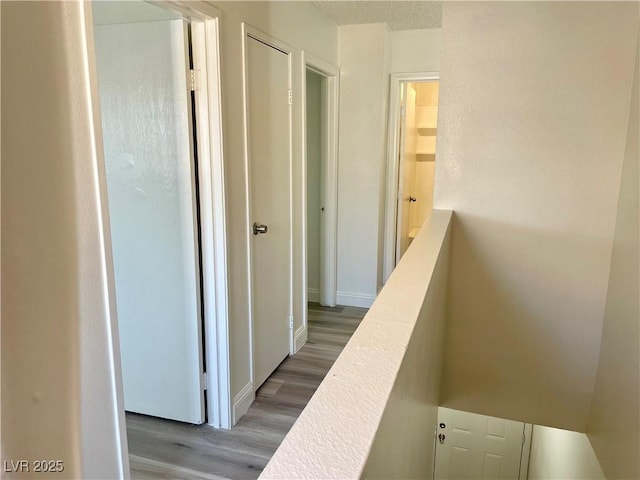 corridor featuring hardwood / wood-style flooring