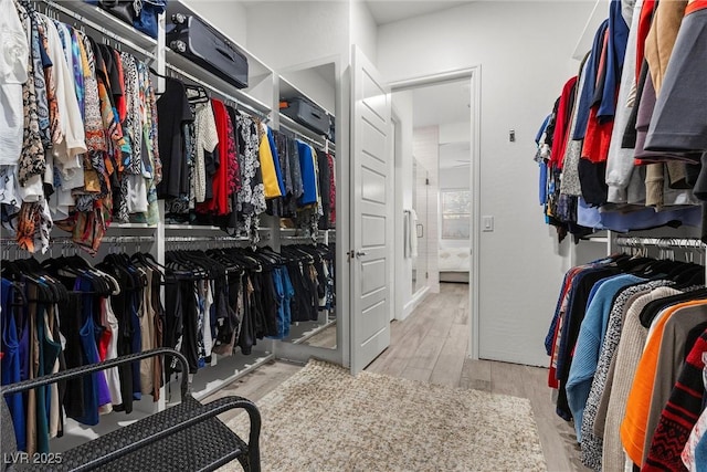 spacious closet featuring light wood-type flooring