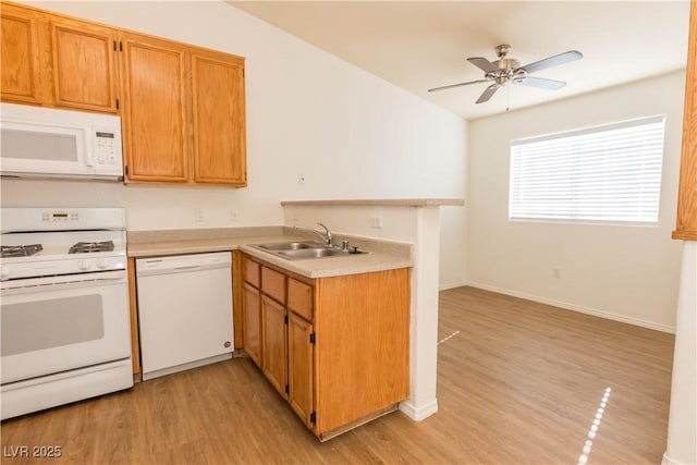 kitchen featuring white appliances, ceiling fan, light wood-type flooring, and sink