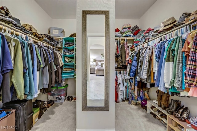 spacious closet with carpet