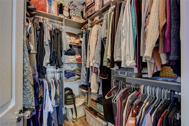 spacious closet featuring hardwood / wood-style flooring