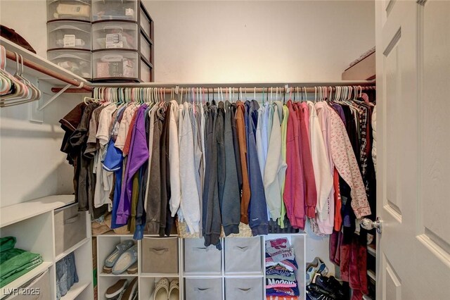 view of spacious closet