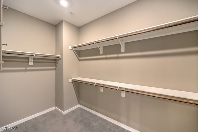 walk in closet featuring carpet