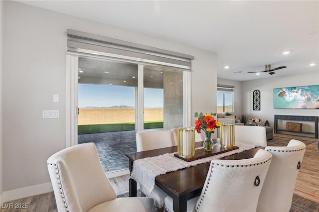 dining area featuring hardwood / wood-style flooring