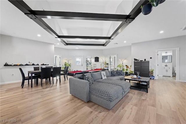 living room with a raised ceiling and light hardwood / wood-style floors