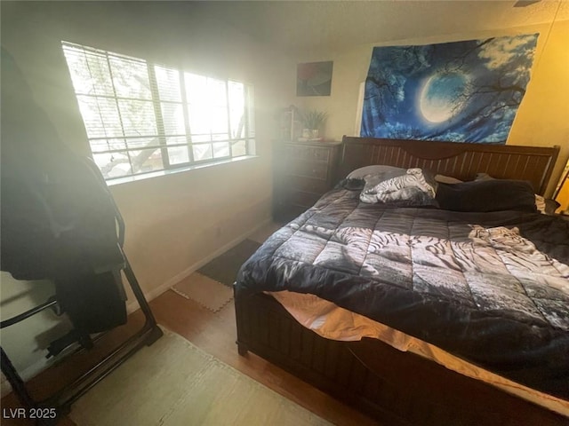 bedroom featuring multiple windows and hardwood / wood-style flooring