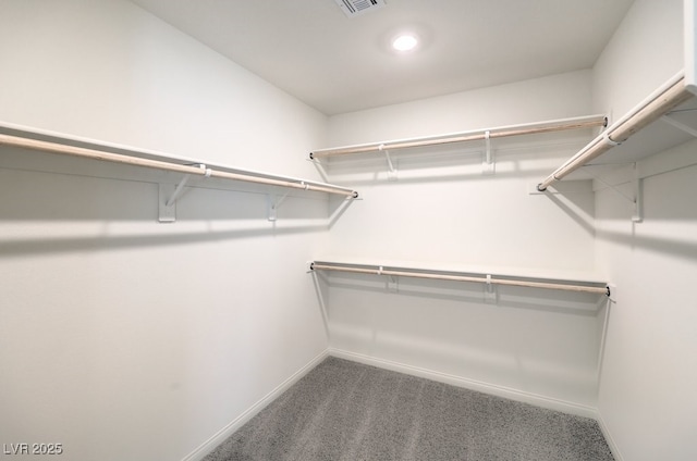 spacious closet with carpet flooring