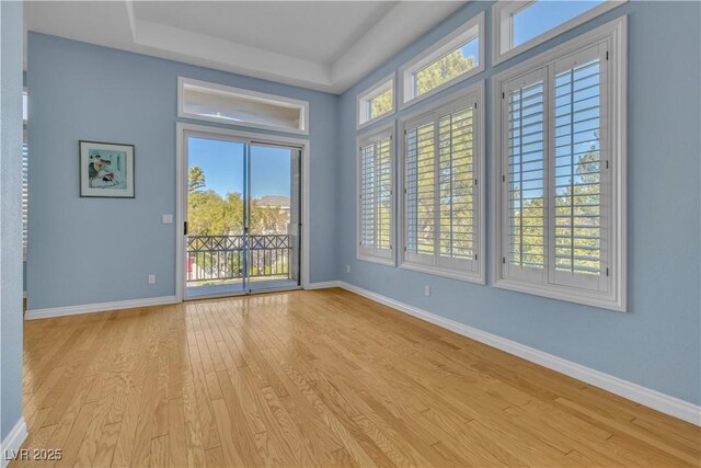 unfurnished room featuring a healthy amount of sunlight, light hardwood / wood-style flooring, and a raised ceiling