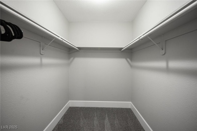 spacious closet with carpet flooring