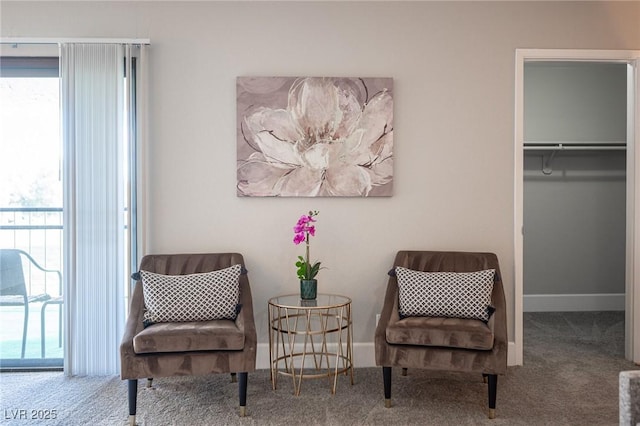 sitting room featuring carpet floors