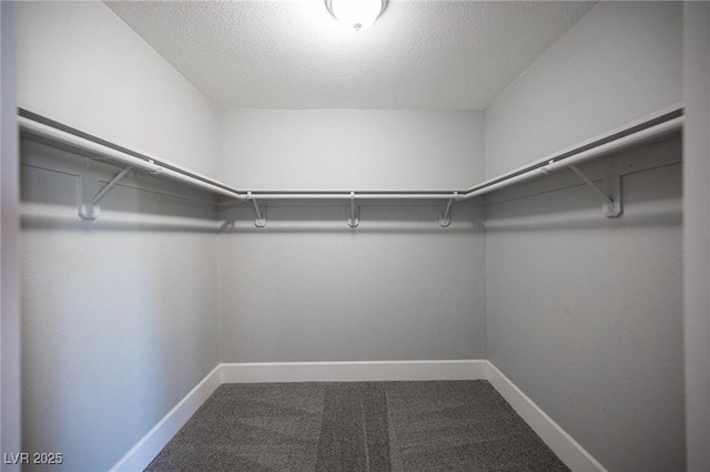 spacious closet with carpet