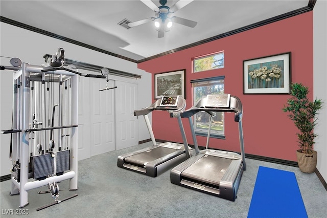 exercise room featuring ceiling fan, carpet floors, and ornamental molding