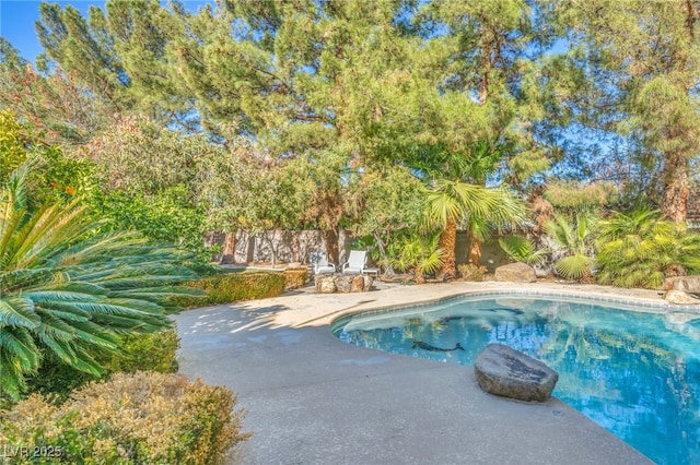 view of swimming pool with a patio