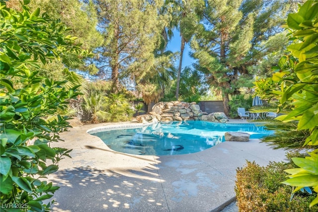 view of swimming pool featuring a patio area