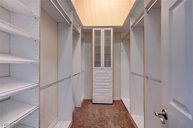 spacious closet featuring dark carpet