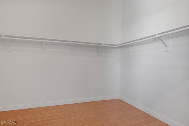 spacious closet featuring wood-type flooring