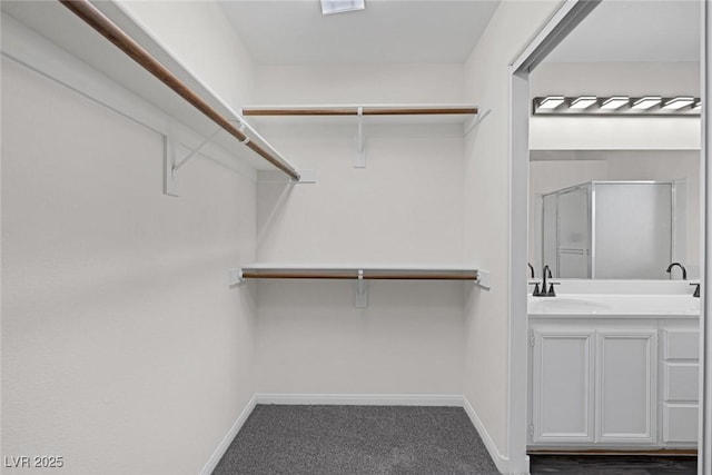 spacious closet with sink and carpet