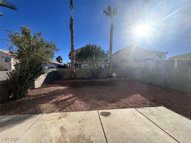 view of yard featuring a patio area