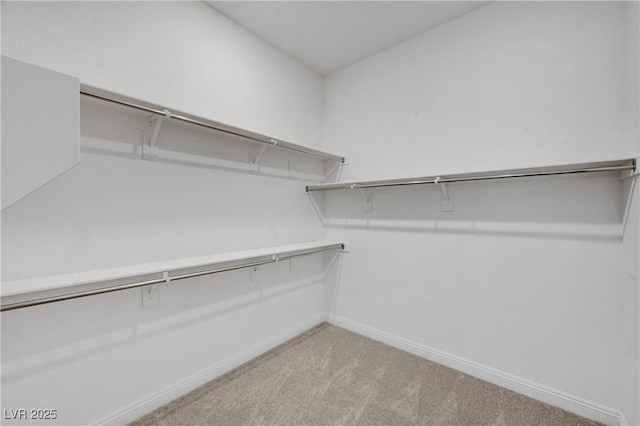 walk in closet with light carpet