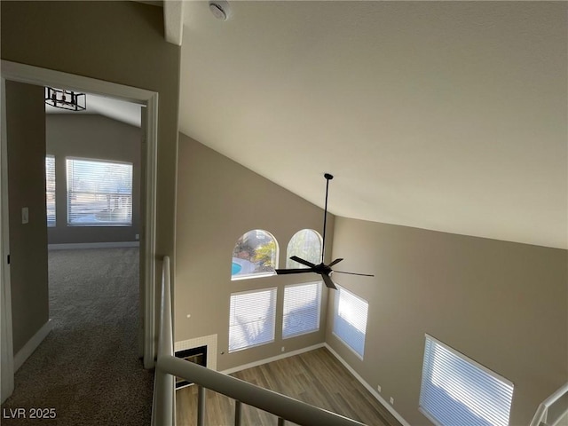 details with ceiling fan and carpet flooring