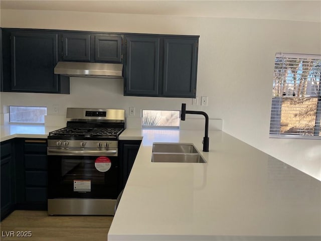 kitchen featuring sink, hardwood / wood-style floors, and stainless steel range with gas stovetop