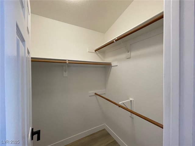 spacious closet with hardwood / wood-style flooring