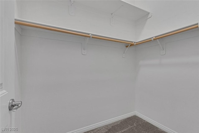 walk in closet with carpet flooring