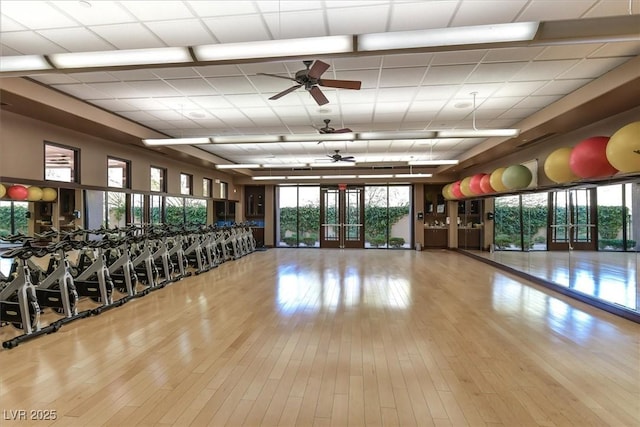 exercise room with ceiling fan, light hardwood / wood-style flooring, and a paneled ceiling