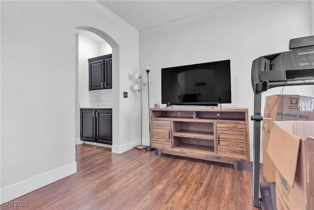 living room featuring dark hardwood / wood-style flooring