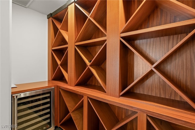 wine room with wine cooler