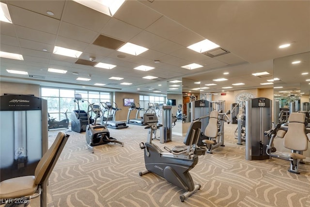 gym featuring light carpet and a paneled ceiling