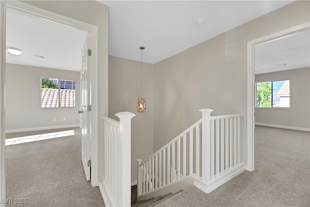 stairs featuring carpet flooring