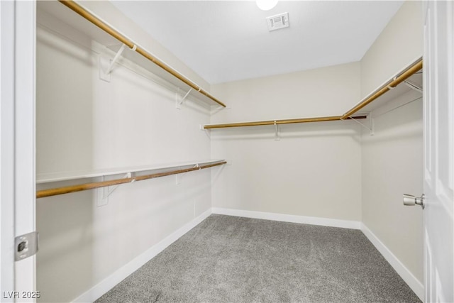 spacious closet featuring carpet