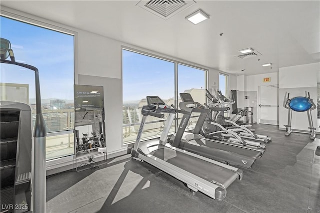 workout area featuring a wall of windows and a wealth of natural light