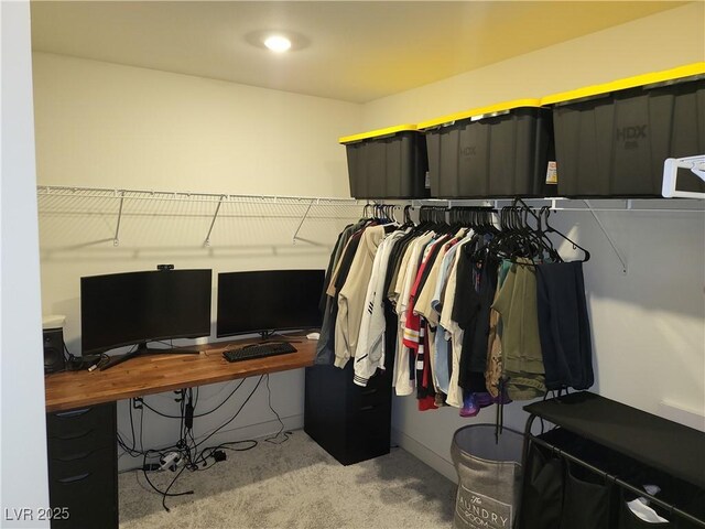 spacious closet featuring light carpet