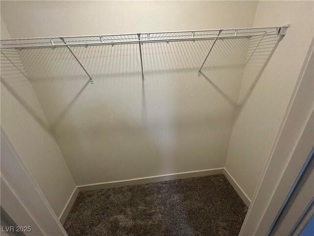 walk in closet with carpet floors