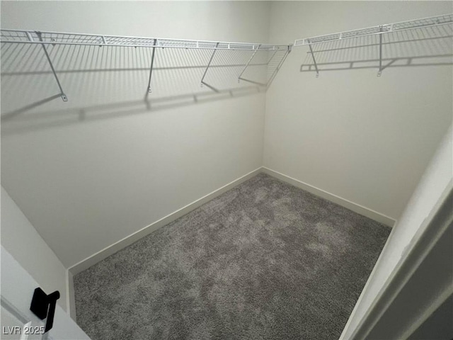 walk in closet with dark colored carpet