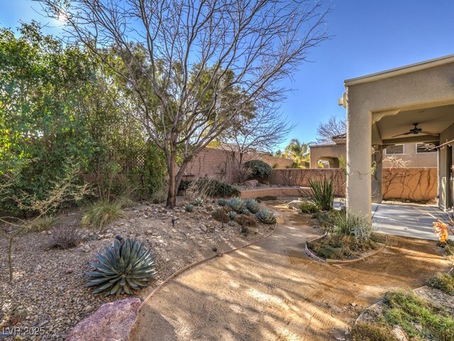 view of yard with ceiling fan