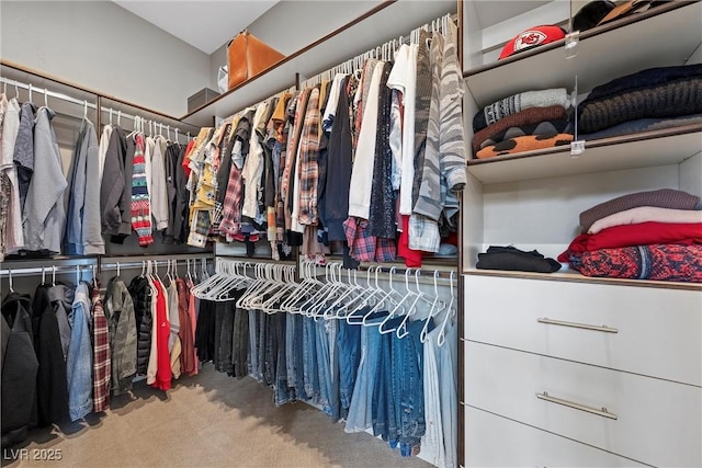 spacious closet with carpet floors