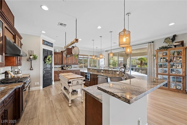 kitchen featuring hanging light fixtures, appliances with stainless steel finishes, a large island with sink, and light hardwood / wood-style floors