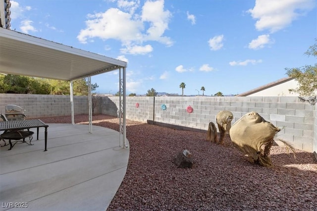 view of yard featuring a patio